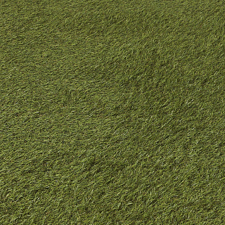 Искусственная трава Dennis 1 х 4 м, 20 мм