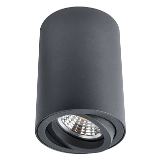 Светильник накладной ARTE LAMP sentry 1x50вт GU10 алюминий черный